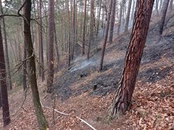 Požár lesa v těžko přístupném terénu