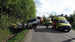 Ke zranění tří dospělých osob, tří dětí a psa došlo při nehodě osobního vozu v Rožnově pod Radhoštěm.
