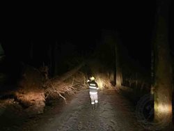 Celou noc hasiči odstraňovali následky silného větru