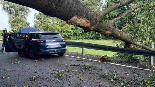 Na jedoucí auto spadl strom. Promáčkl čelní sklo i střechu vozu