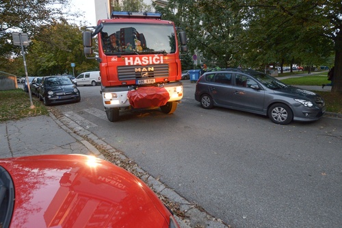 33587.jpg 33587.jpg