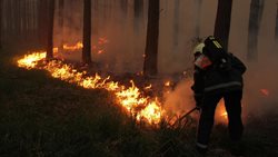 Osm jednotek hasičů likvidovalo požár lesa na Prostějovsku