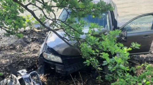 S autem skončil v rybníce. Policisté po příjezdu nevěřili vlastním očím