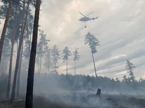 Hasiči zasahovali u rozsáhlého požáru lesa