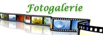 fotogalerie_e.jpg