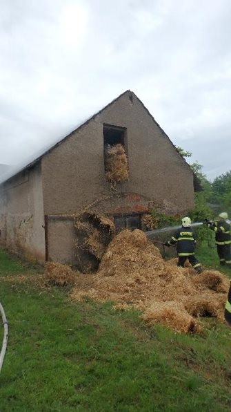 cernozic2-(1).jpg