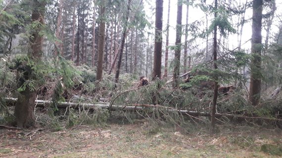 polom-Frydlantsko;-5-12-2018.jpg